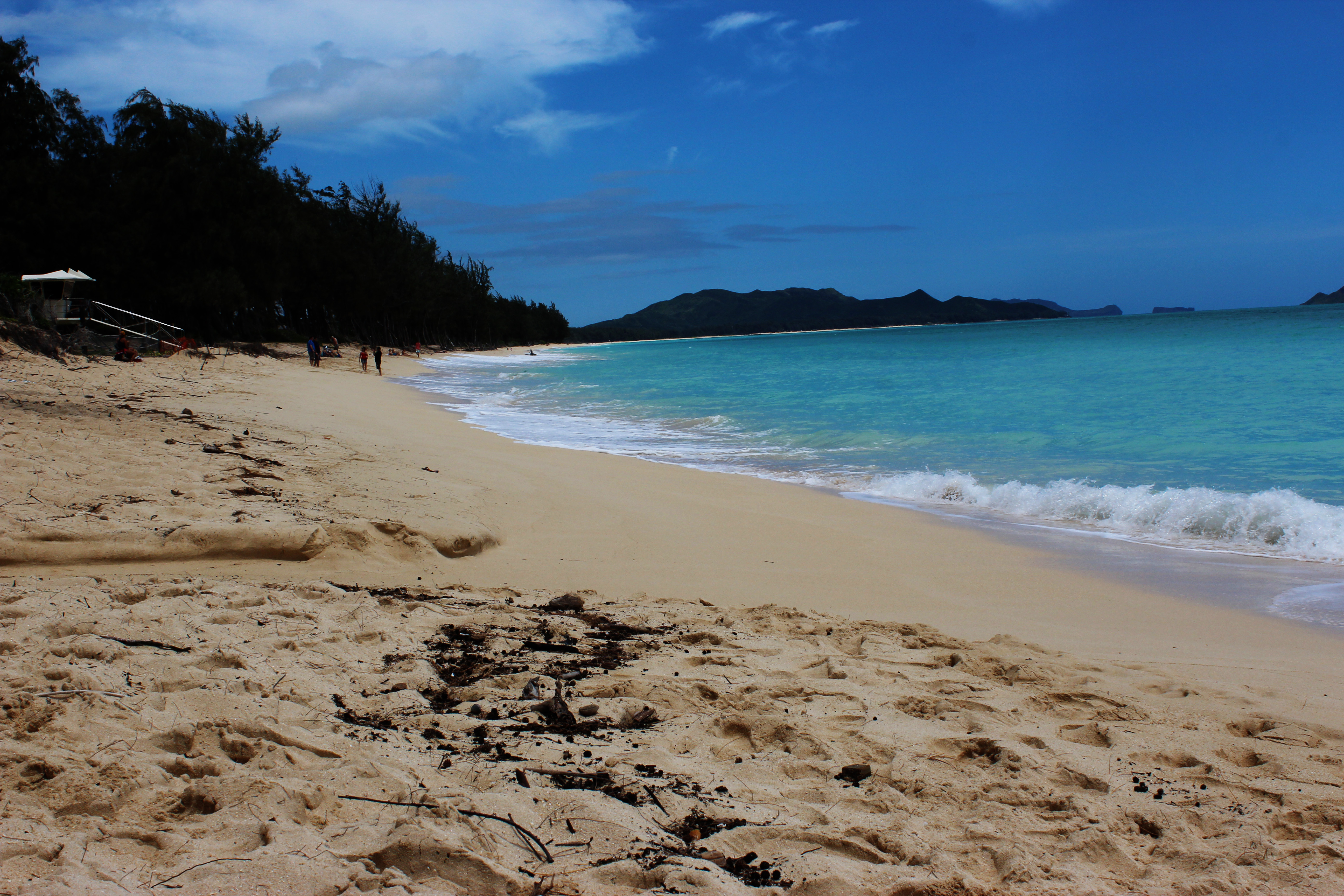 Quiet Hawaii Morning