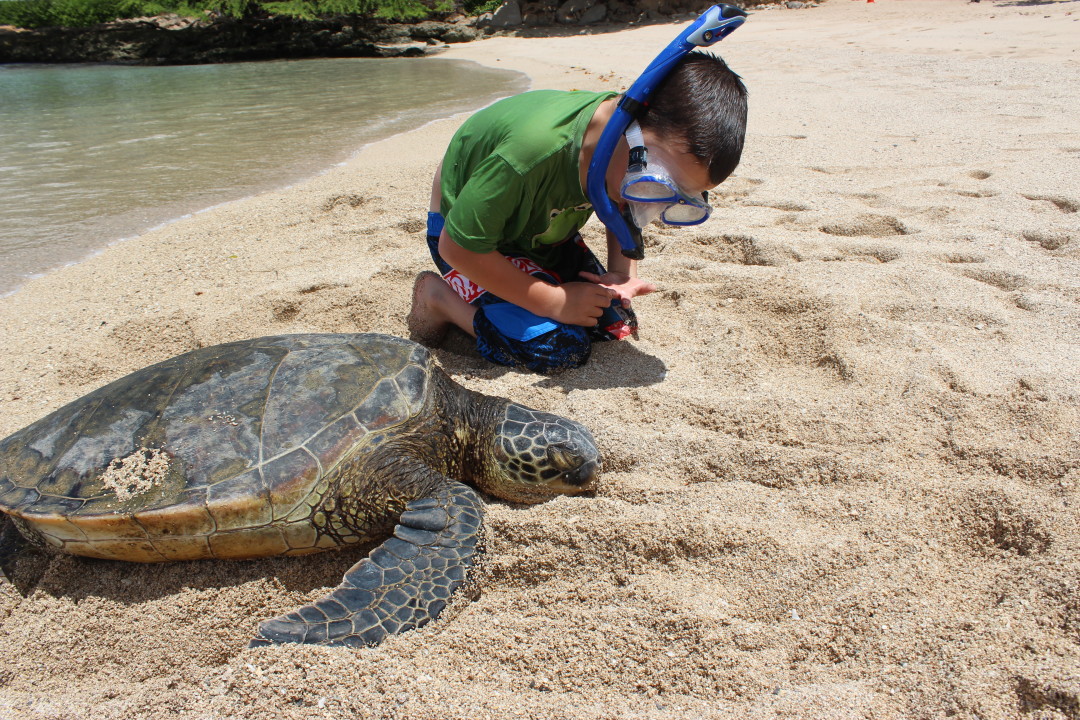 J and his turtle friend